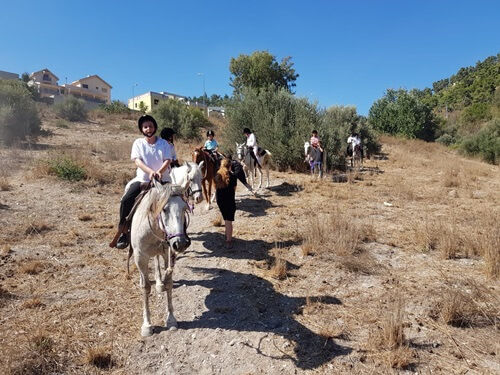 חוות סוסים נוף הרים בגליל